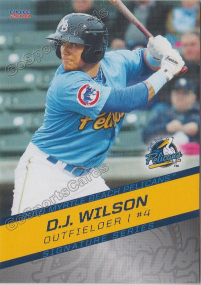 2018 Myrtle Beach Pelicans DJ Wilson