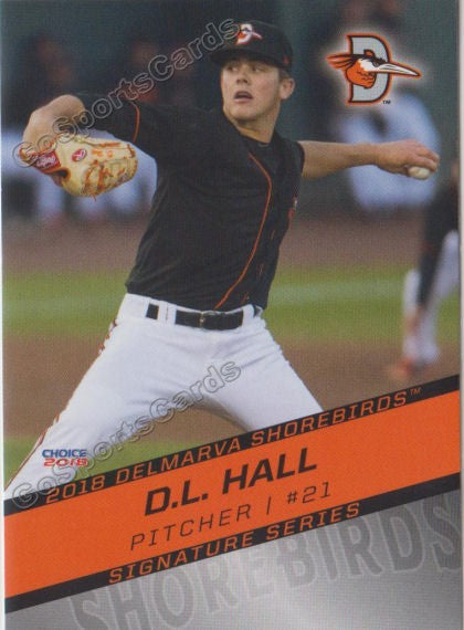 2018 Delmarva Shorebirds DL Hall