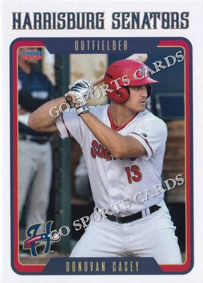 2023 Harrisburg Senators Donovan Casey