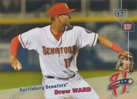 2019 Harrisburg Senators Drew Ward