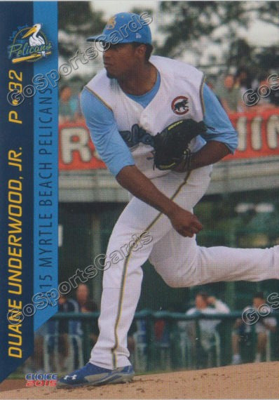 2015 Myrtle Beach Pelicans Duane Underwood Jr