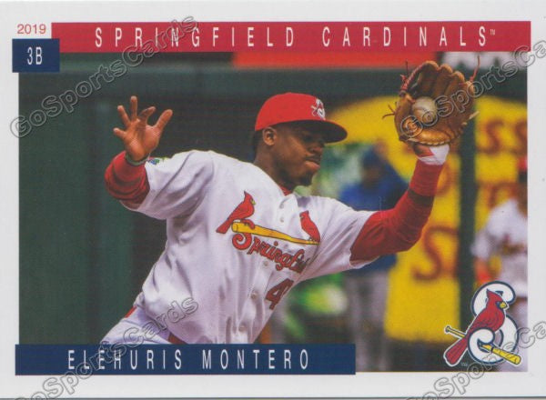 2019 Springfield Cardinals Elehuris Montero