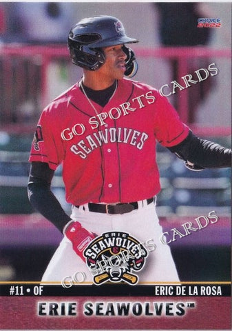 2022 Erie SeaWolves Eric De La Rosa