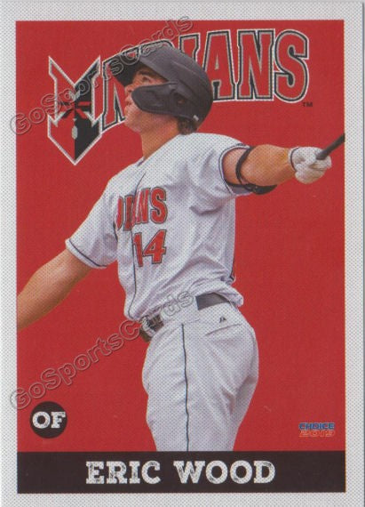 2019 Indianapolis Indians Eric Wood