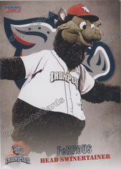 2015 Lehigh Valley IronPigs Ferrous Mascot 2nd – Go Sports Cards