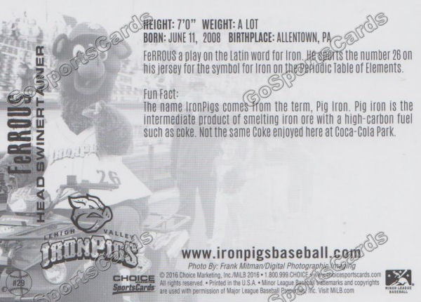 2016 Lehigh Valley IronPigs Ferrous Mascot Back of Card