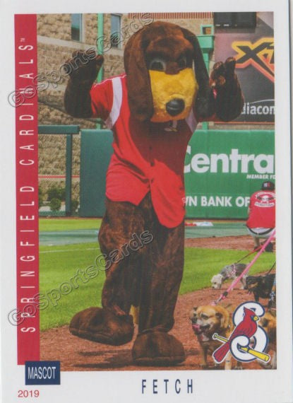 2019 Springfield Cardinals Fetch Mascot