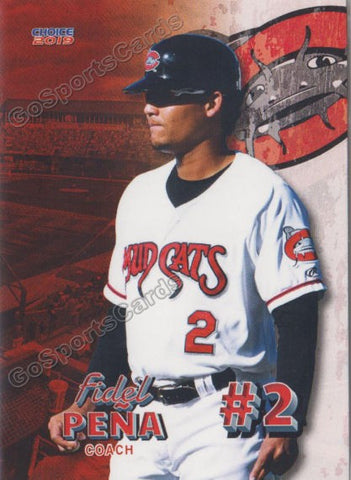 2019 Carolina Mudcats Fidel Pena