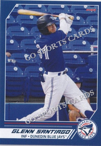 2023 Dunedin Blue Jays Petr Stribrcky – Go Sports Cards