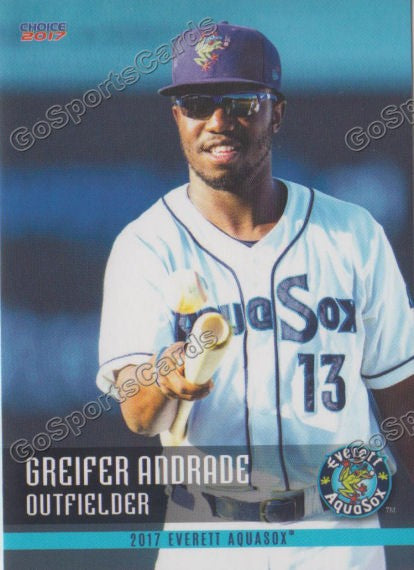 2017 Everett AquaSox Greifer Andrade