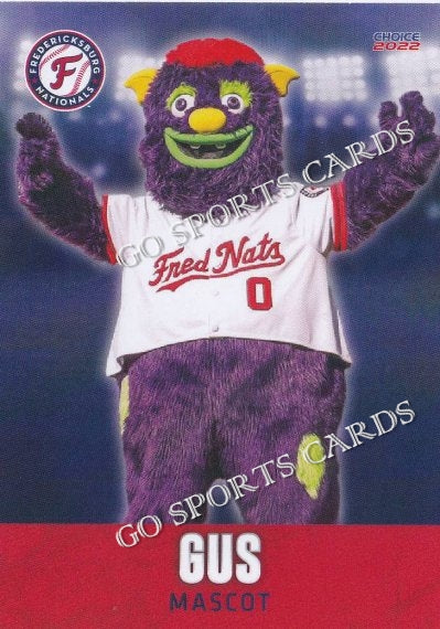 Fredericksburg Nationals - WASHINGTON NATIONALS MASCOT, SCREECH TO