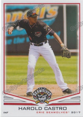 2017 Erie SeaWolves Harold Castro