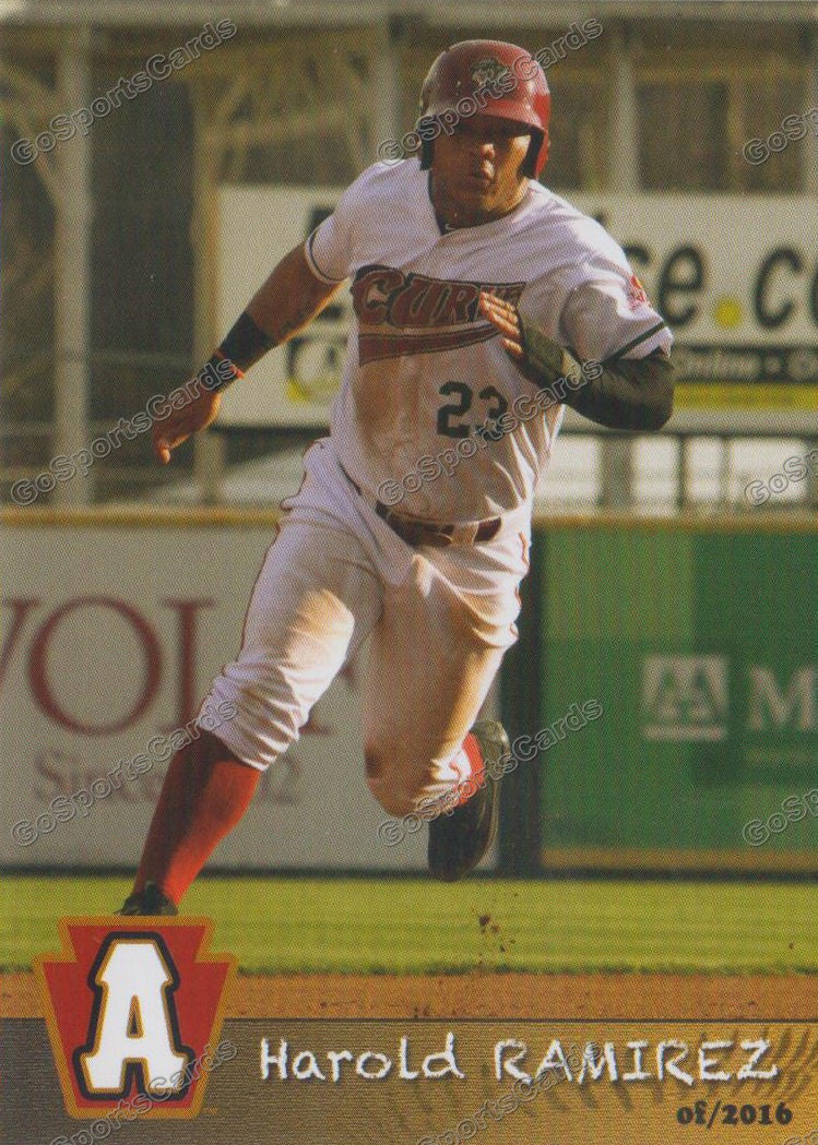 Altoona curve 2016 store jersey