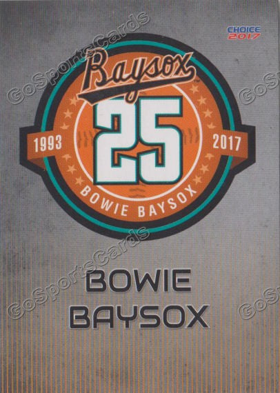 2017 Bowie Baysox Update Header Checklist