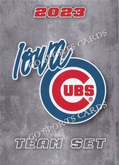 Jake Jewell 2021 Iowa Cubs Team Card