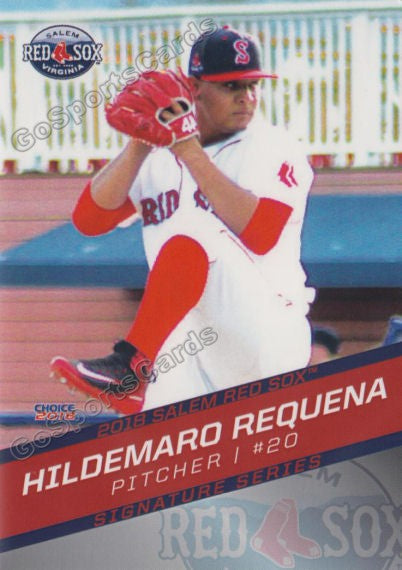 2018 Salem Red Sox Hildemaro Requena