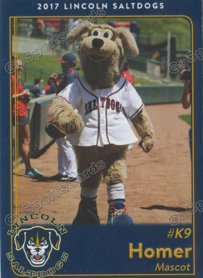 2017 Lincoln Saltdogs Matt Portland – Go Sports Cards