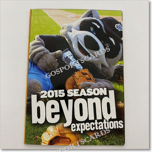 2015 Hudson Valley Renegades Pocket Schedule