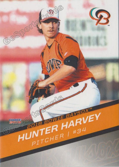 2018 Bowie Baysox Hunter Harvey