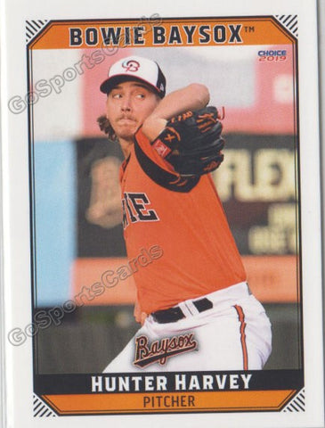 2019 Bowie Baysox Hunter Harvey