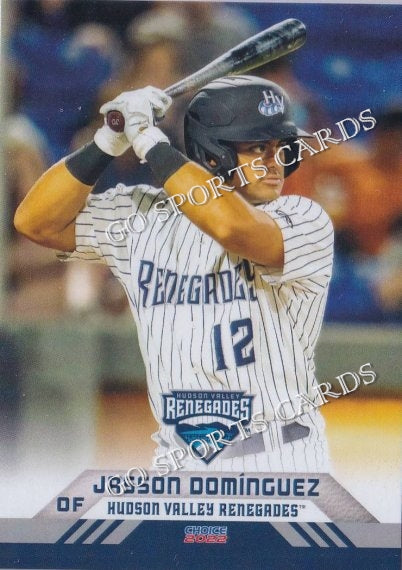 2022 Hudson Valley Renegades Jasson Dominguez