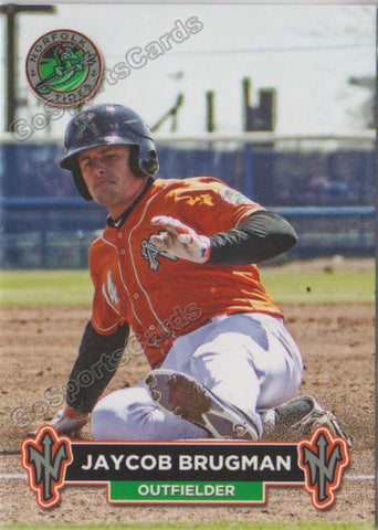 2018 Norfolk Tides Jaycob Brugman