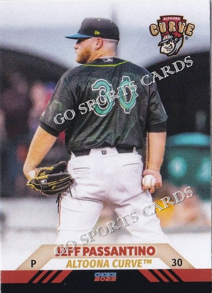 2019 Ryan January Minor League Rookie Card Hillsboro Hops RC