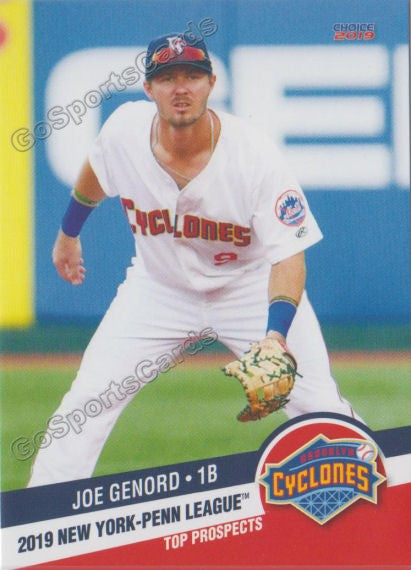 2019 New York Penn League Top Prospects NYPL Joe Genord