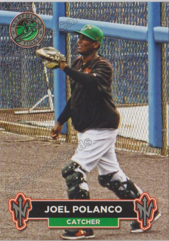 2018 Norfolk Tides Joel Polanco