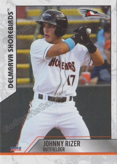 2019 Delmarva Shorebirds Update Johnny Rizer