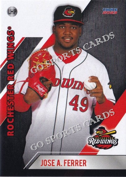 Rochester Red Wings Defenders of the Diamond Jersey #22 issued to