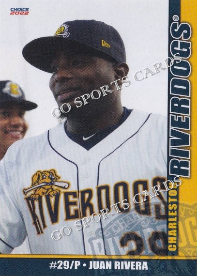 Charleston RiverDogs Game-Worn Jersey: Estevan Florial