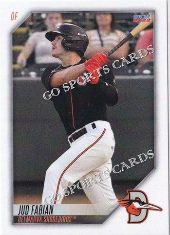 2022 Delmarva Shorebirds Jud Fabian