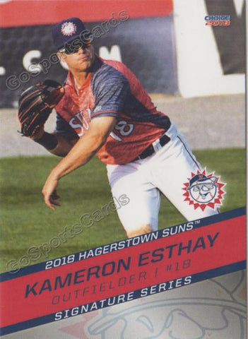 2018 Hagerstown Suns Kameron Esthay