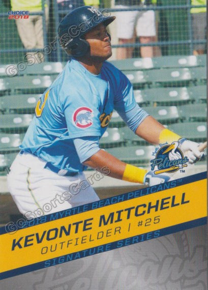 2018 Myrtle Beach Pelicans Kevonte Mitchell