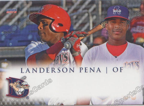 2019 Auburn Doubledays Landerson Pena