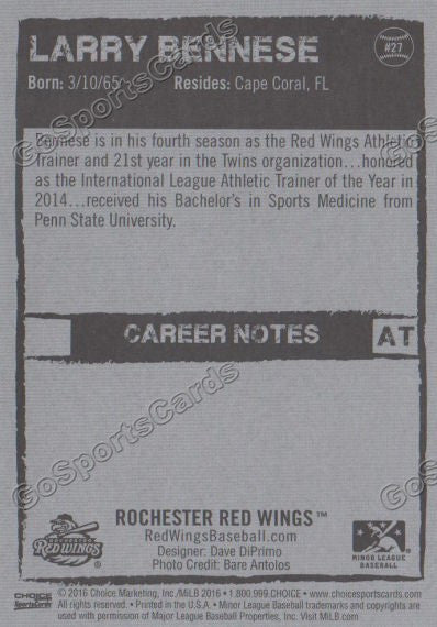 Rochester Red Wings 2014 Team Baseball Card Set – Rochester Red Wings  Official Store