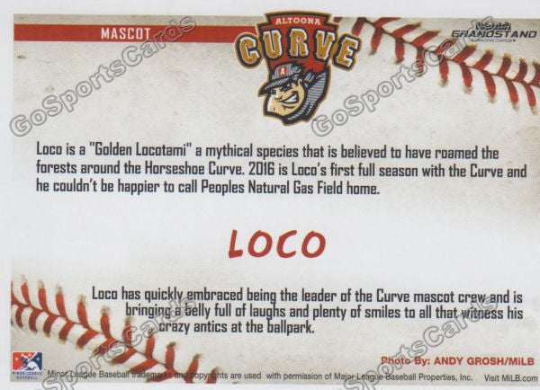 2016 Altoona Curve LOCO Mascot Back of Card