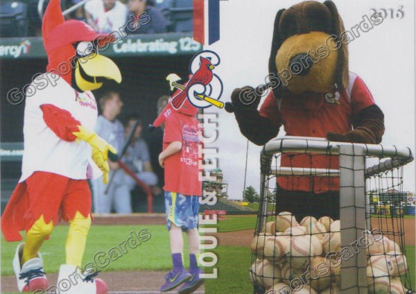 2016 Springfield Cardinals Louie and Fetch Mascot