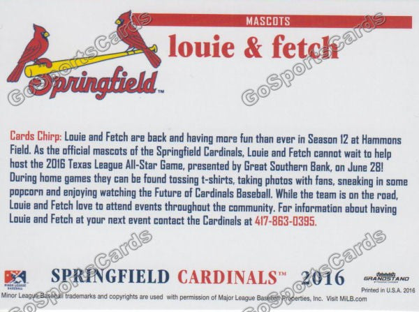 We Asked Louie, The Springfield Cardinals Mascot, To Narrate A Springfield  Cardinals Game For Us