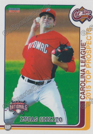 2015 Carolina League Top Prospect Lucas Giolito