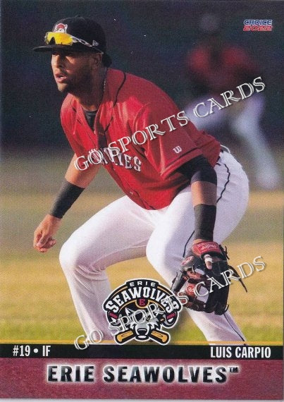 2022 Erie SeaWolves Luis Carpio