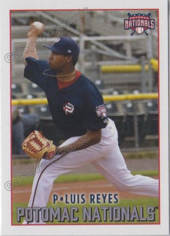 2019 Potomac Nationals Luis Reyes