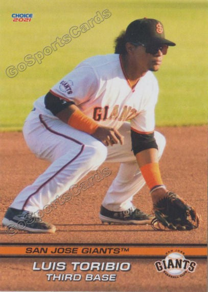 2021 San Jose Giants Luis Toribio