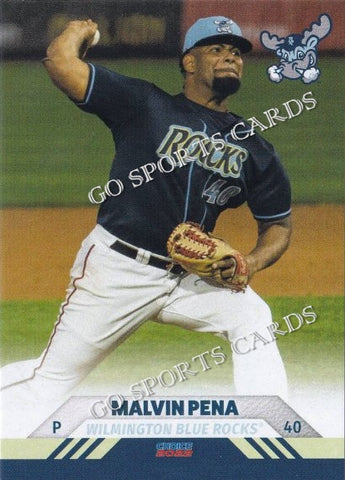 2022 Wilmington Blue Rocks Malvin Pena