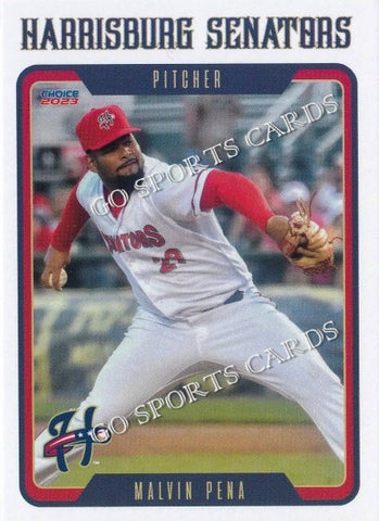 2023 Harrisburg Senators Malvin Pena