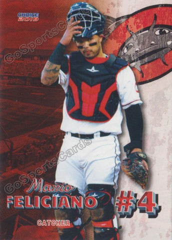 2019 Carolina Mudcats Mario Feliciano