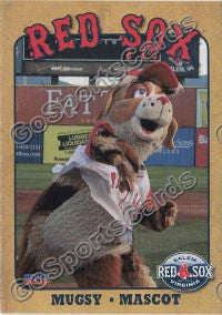 2018 Salem Red Sox Mugsy Mascot