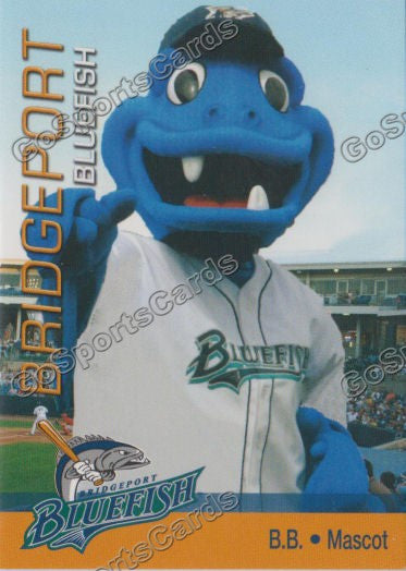 Bridgeport Bluefish  Anniversary logo, Bluefish, Anniversary