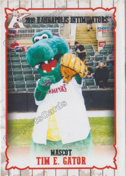 2019 Kannapolis Intimidators Tim E Gator